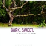 Native American Poetry Book by Coffee House Press-0