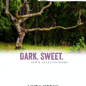 Native American Poetry Book by Coffee House Press-0