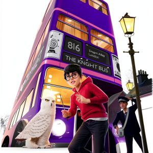Harry Potter Order Phoenix Kindle eBook Pottermore XRay-0